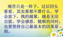 [我的烦恼]胖也会有精彩的人生_500字
