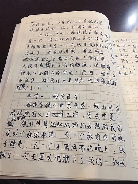 父亲的爱之力_650字
