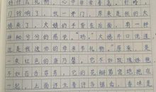 关于毕业的作文：谁的毕业不迷茫_1200字