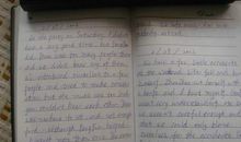 初中英语日记：日记_450字