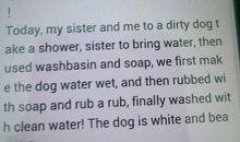 初中英语日记：报纸_350字