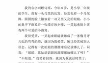 我的自画像_300字