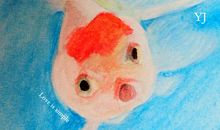 我的小金鱼_250字