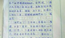 关于快乐的作文：简单便是快乐_800字