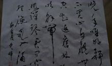 特殊的日子_650字