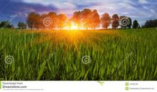 [春天来了]听呐，绿色的赞歌_550字