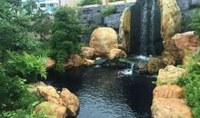 最美的风景—假山_1200字