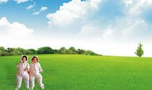 [春天来了]春天来了，让梦想飞翔吧_450字