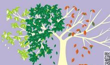 有这样一种美丽_700字