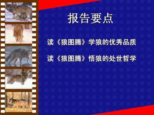 读完《狼图腾》 _1200个单词后，畅所欲言