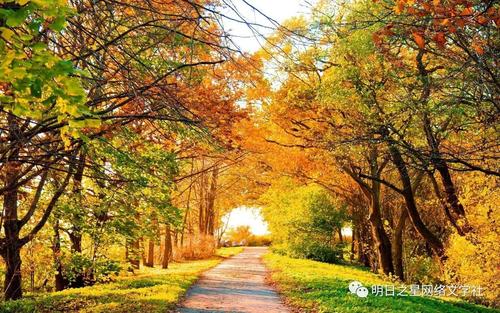 秋天最美_650字
