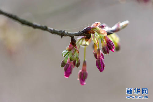 [春天在这里]用spring_1000个单词与未来的自我相遇