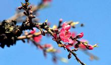 回收又是一年春_1000字