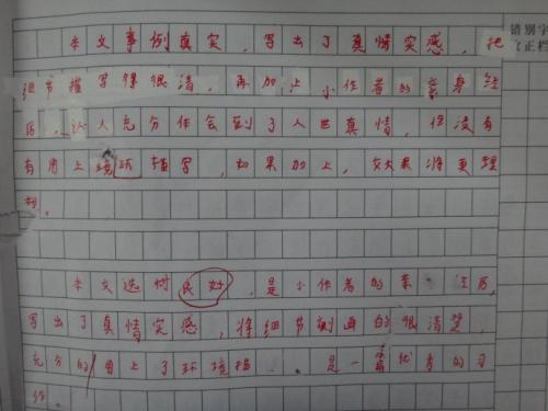 我的tablemate_650字