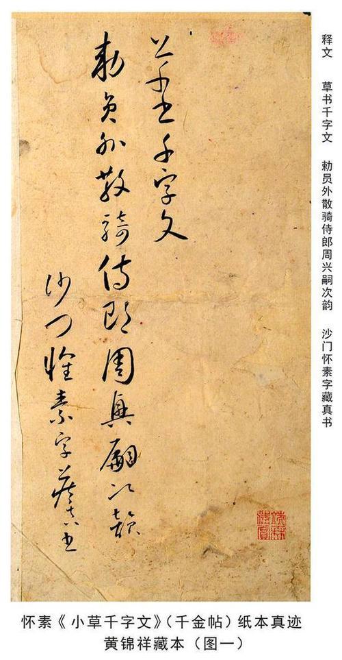 小草_900字