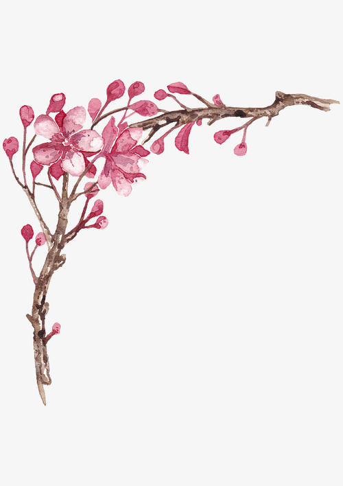 樱花_650字