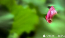 撑起爱心的大伞——为艾滋病人遮风挡雨_1000字