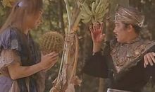 我的徒弟是帮主一第一章 1龙凤帮_400字