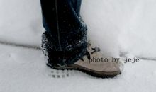 百年一遇的冰雪_550字