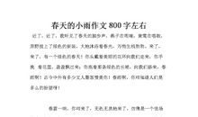 春天的小雨_800字