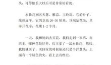 观察水仙花_400字