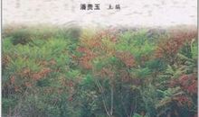 我身边的奉献者_650字