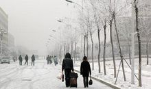 冬天的校园_450字