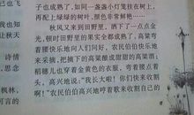 描写秋天的好词好句