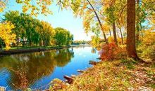 描写“秋夜”的绝妙佳句