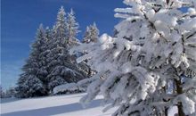 关于立冬的作文：立冬的气候特点_1200字