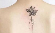 小燕子和猫咪_400字