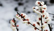 关于立冬的作文：立冬的故事_900字