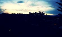 清晨的阳光_450字