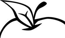 关于水果的作文：水果的争论_800字