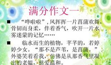 初二话题作文：小气的我_1000字