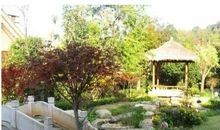 城市，乡村_1200字