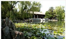 水木清华之荷塘_3000字