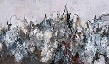 生如夏花赏析_1000字