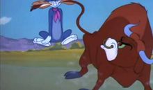 熊和猫的交友之道