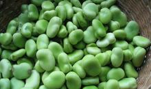 蚕豆为什么阔嘴巴