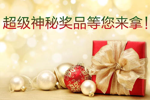 “神秘”圣诞平安夜_800字