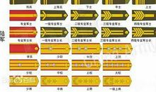 国防知识：军衔知识
