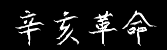 定位1911_2000字的革命