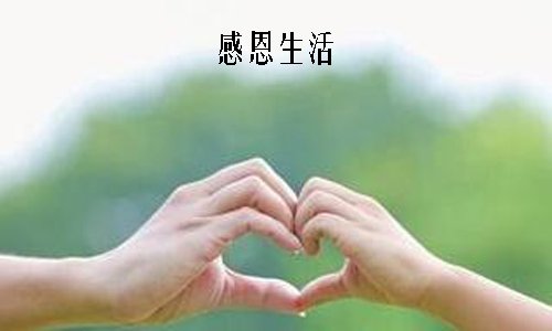 感恩节作文800字：老师感恩节_900字