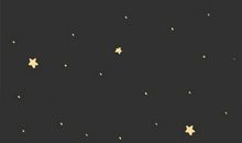 一星陨落，一花凋零_3000字