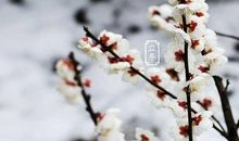 关于立冬的作文：立冬啦_550字