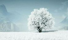 [PK赛]关于冬天的作文：冬天的一道风景线_1000字