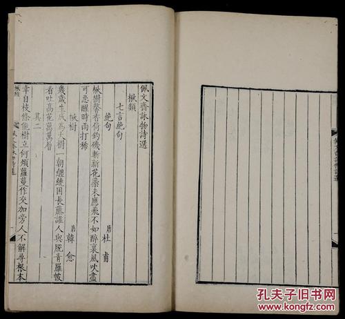 Sycamore_1200字