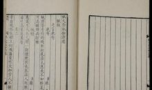 梧桐_1200字