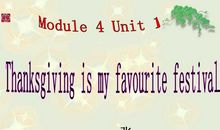 My Favorite Festival_400字